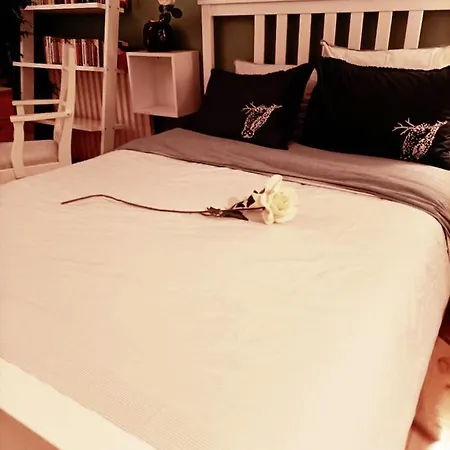 Accueillant Au Coeur De 30 M² Inclus Apartment
